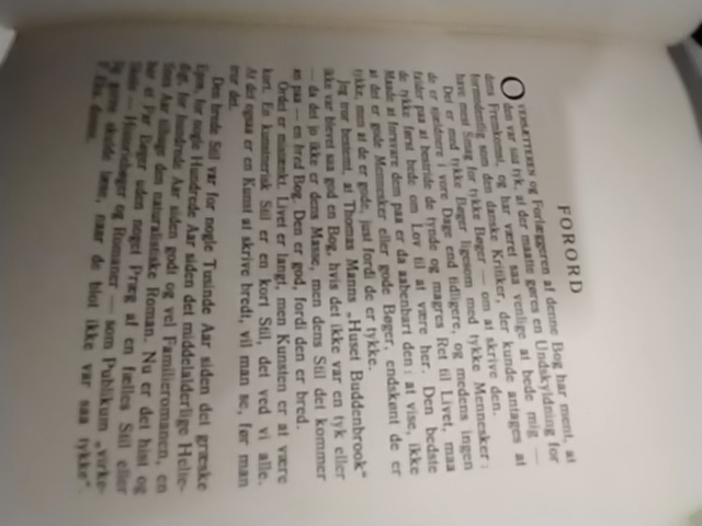 Thomas Mann: Buddenbrook